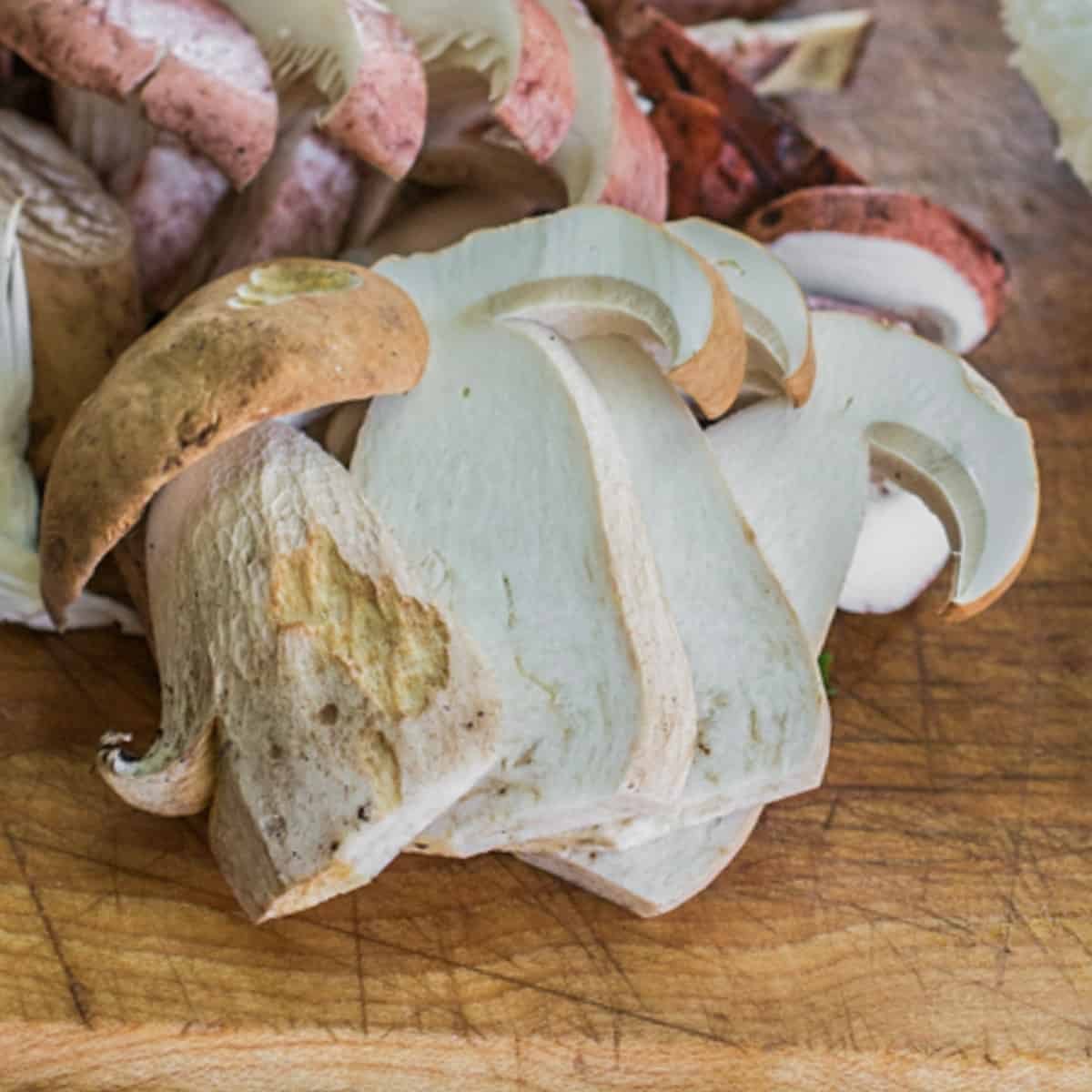 sliced porcini mushrooms 