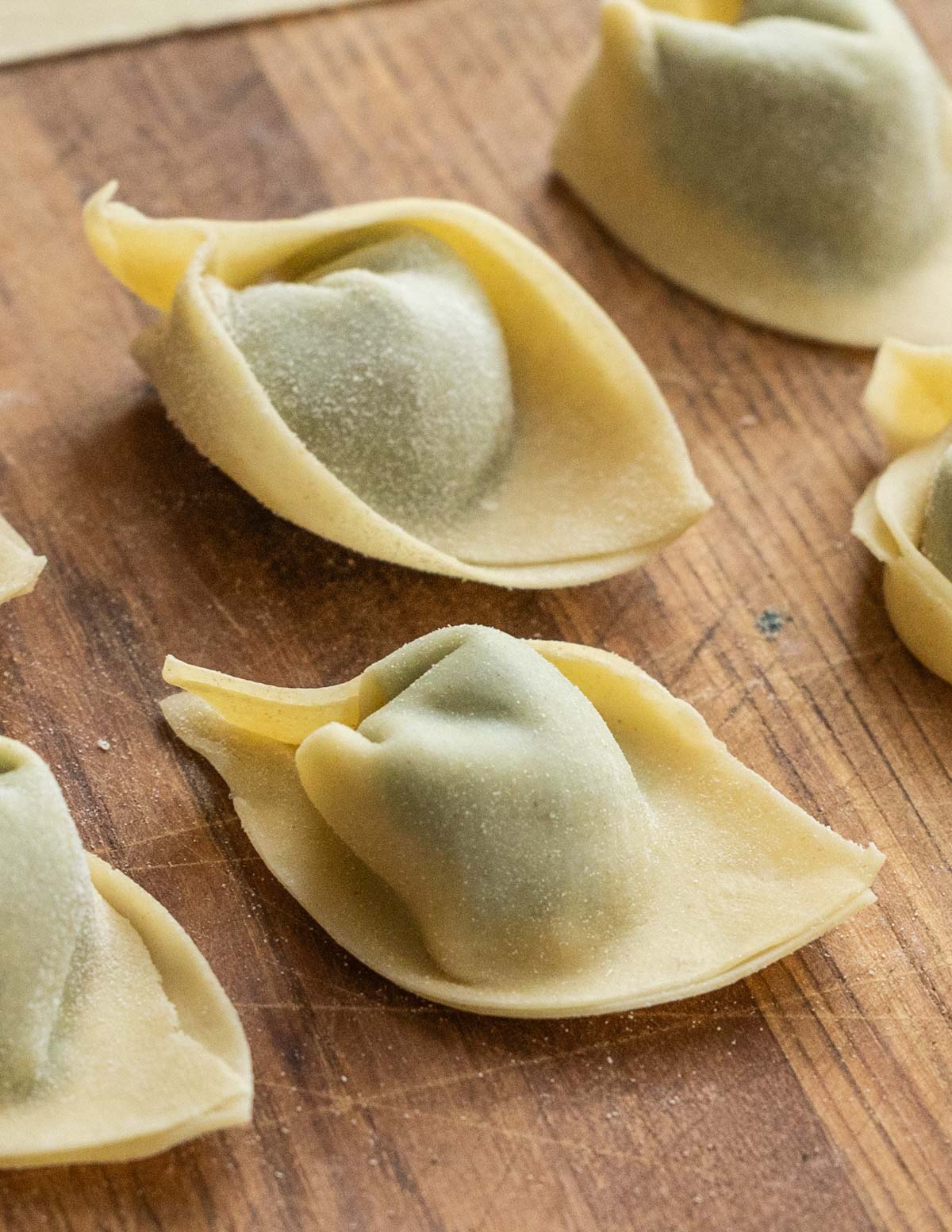 close up of pansotti pasta