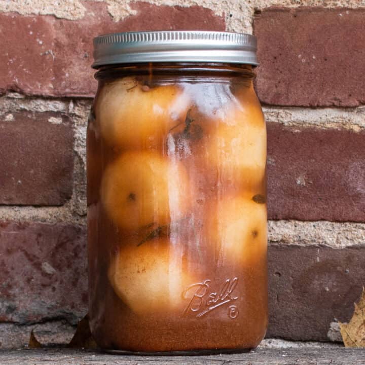 Spiced Pickled Chestnut Crab Apples - FORAGER | CHEF