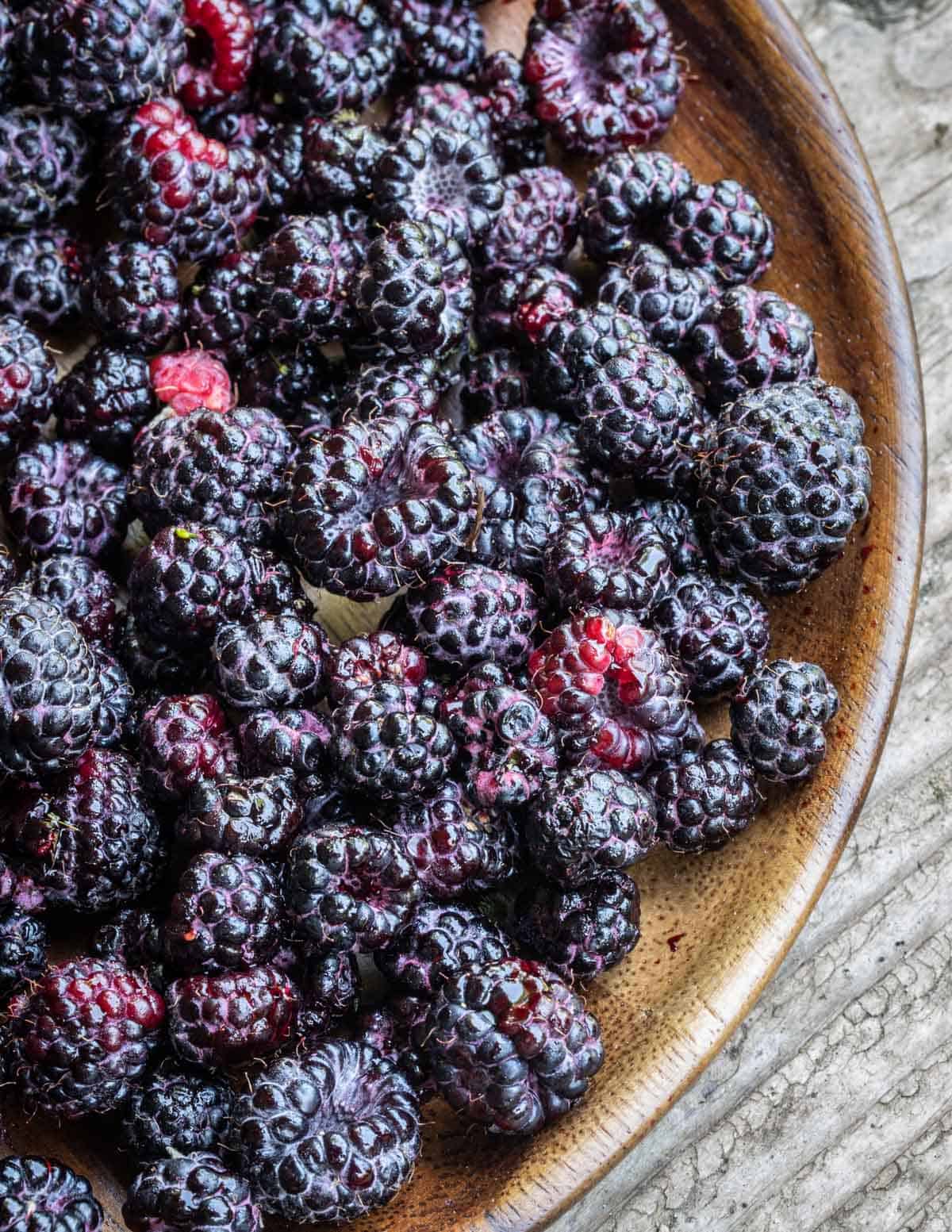 Black cap raspberries or rubus occidentalis on a plate 