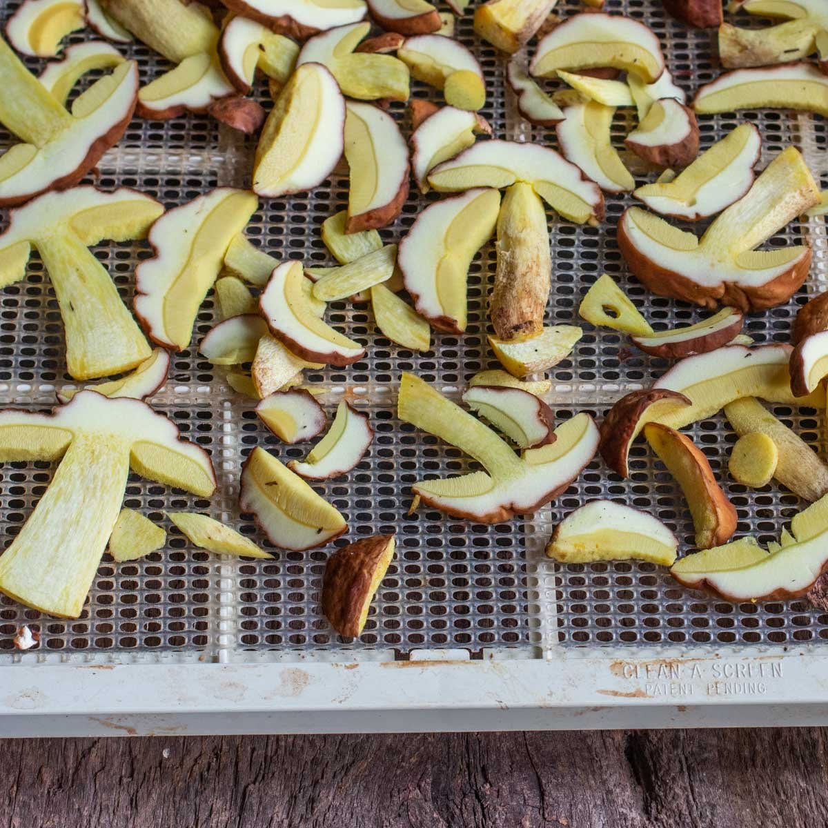 dried mushrooms on a tray 