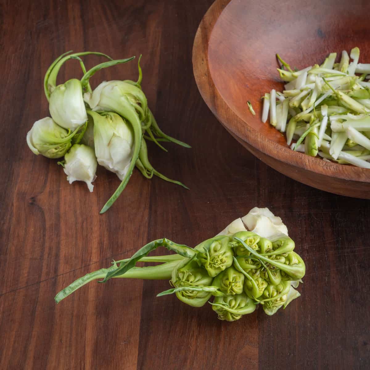 Puntarelle  Flick on Food