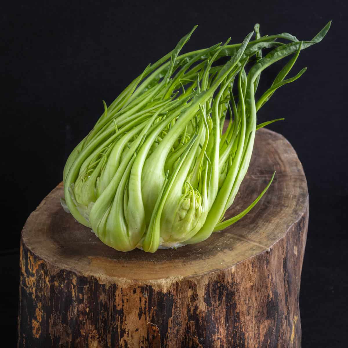 a head of puntarelle chicory on a piece of wood with black background. 