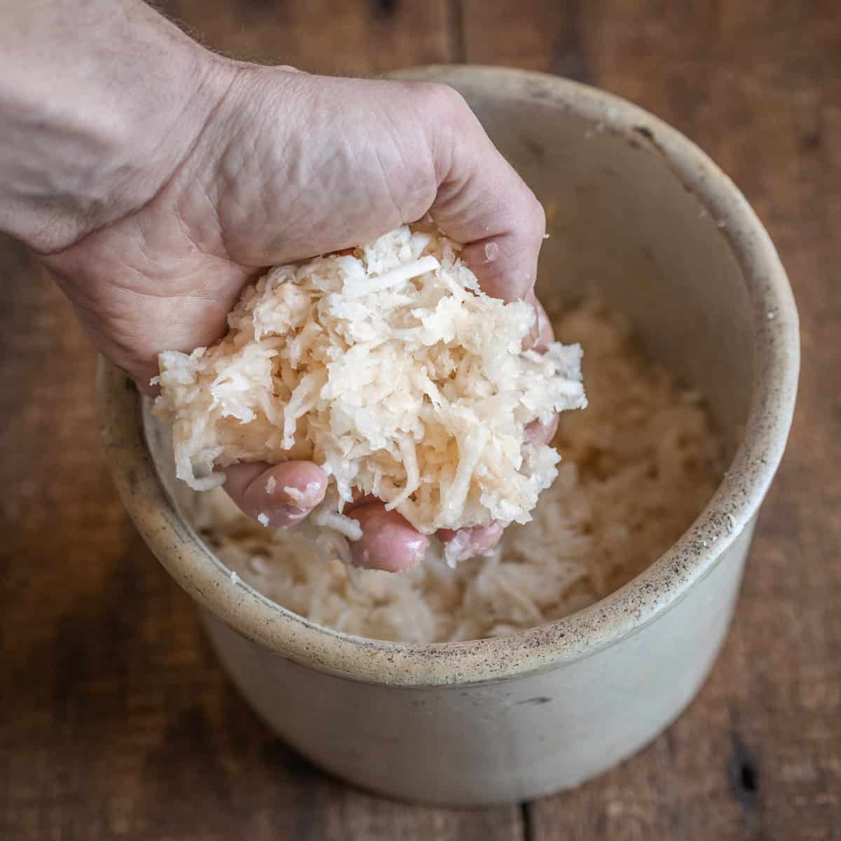 A hand digging into a crock of fermenting shredded turnips