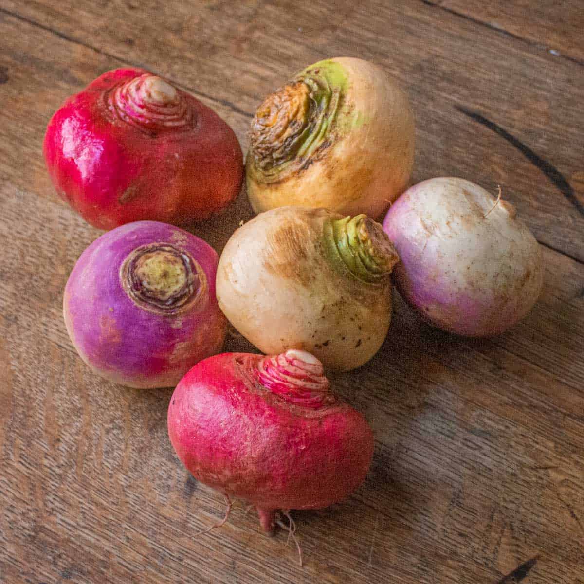 different colored kinds of turnips on a table.