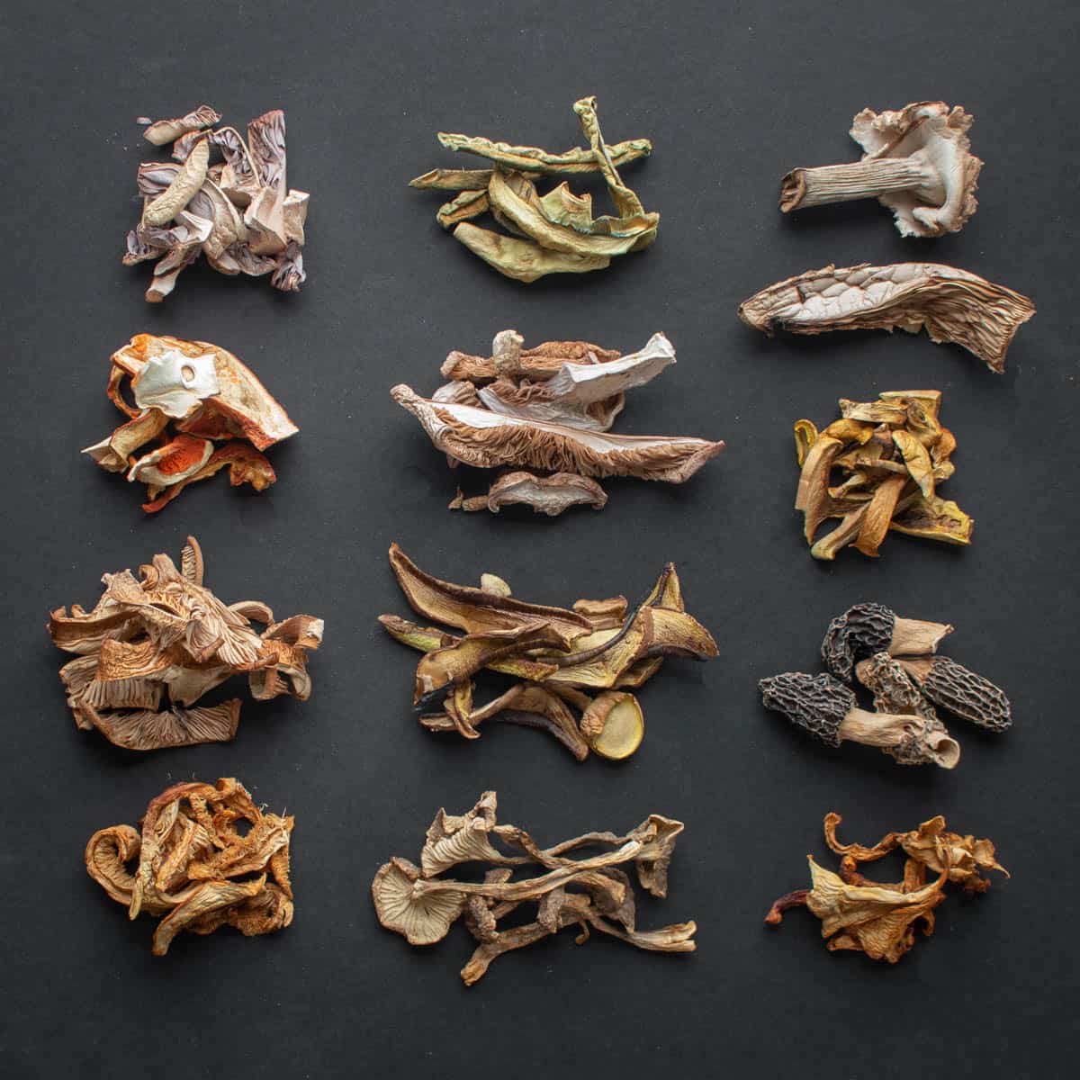 many dried mushrooms laid out on a black background