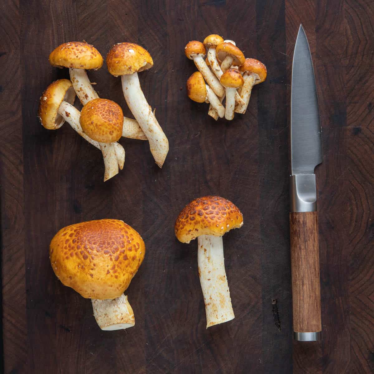 cut chestnut mushrooms laid out on a cutting board