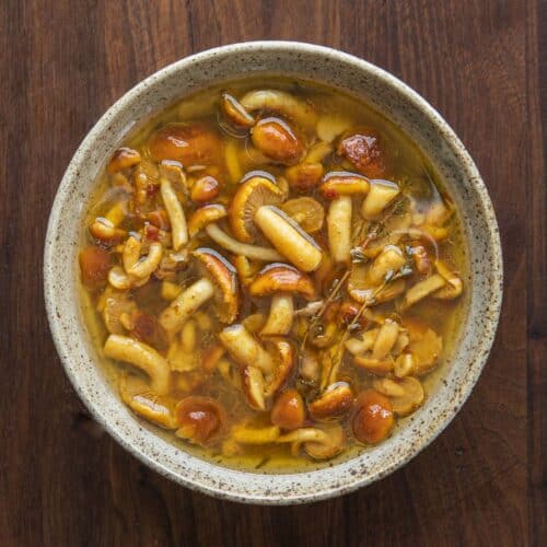 Chestnut Mushroom: Cooking, Growing & More - Forager | Chef