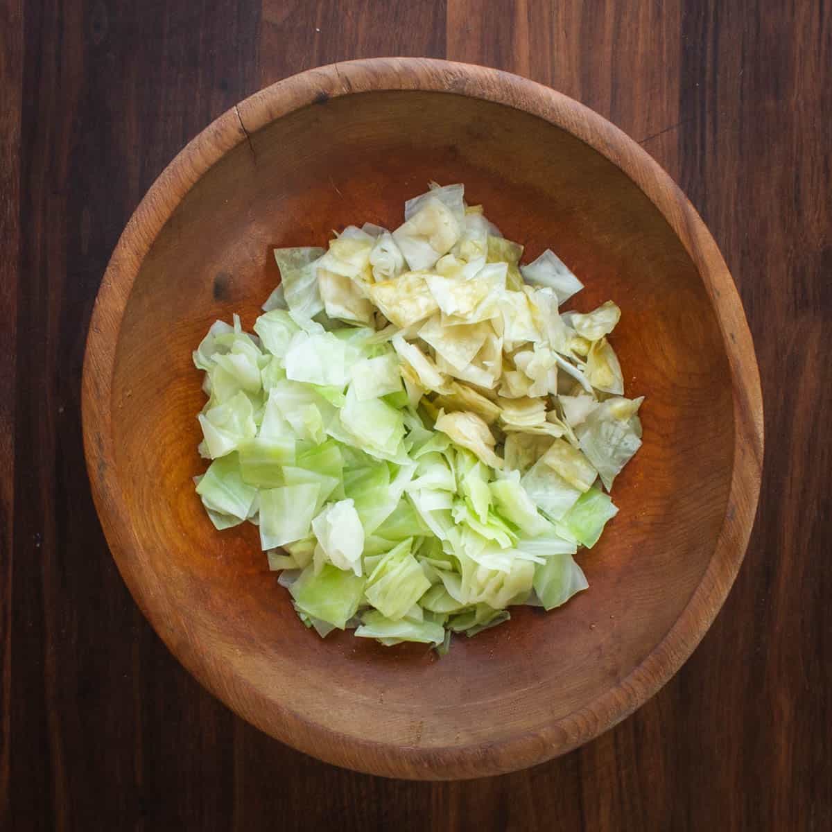 cabbage and sauerkraut in a bowl