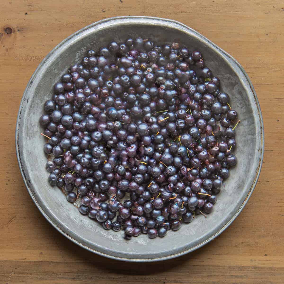 A tray of sand cherries