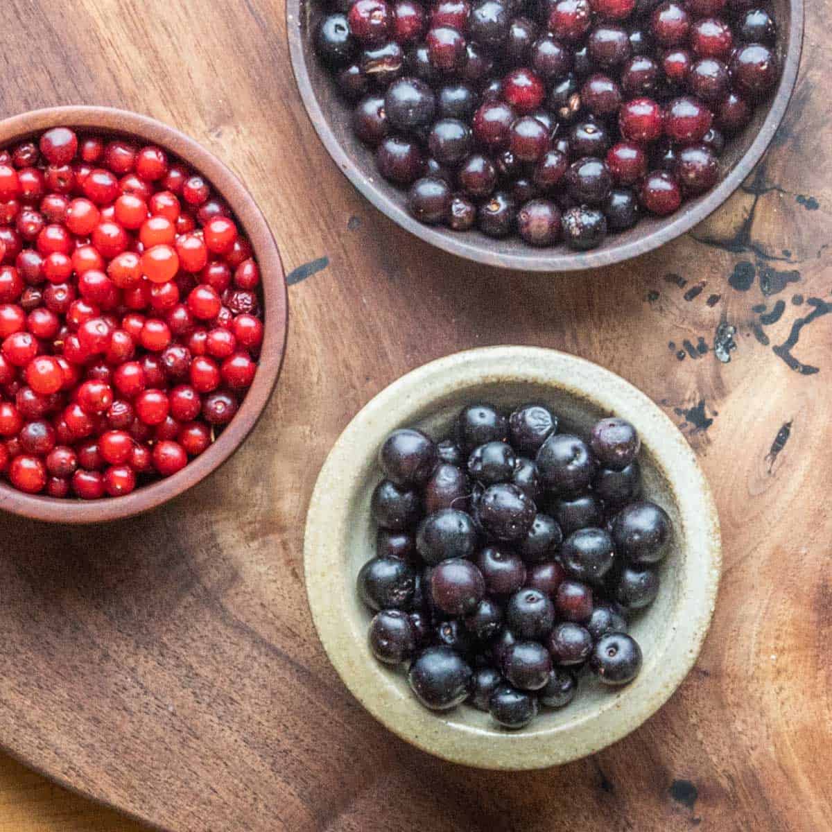 Different types of wild cherries in a bowl
