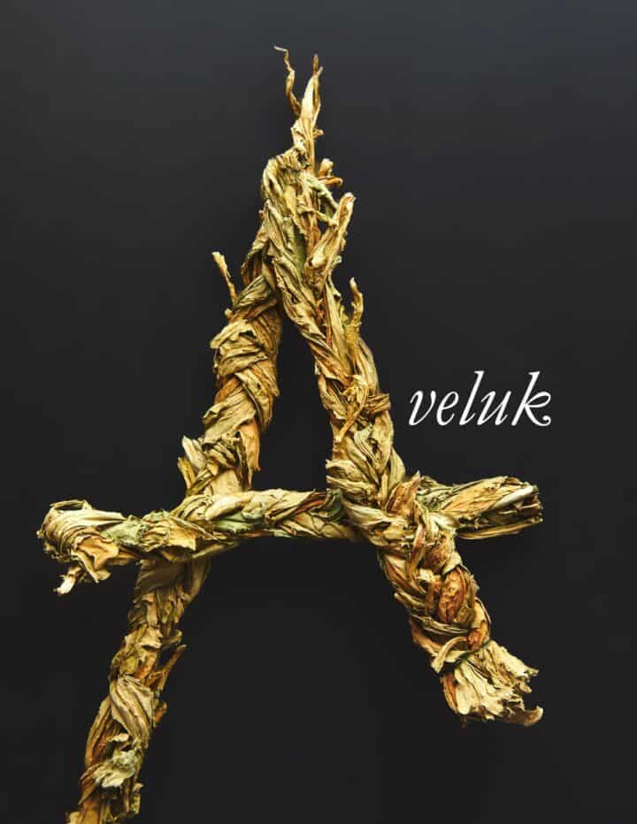 Aveluk: Armenian Dried Wild Sorrel (Dock) - Forager | Chef