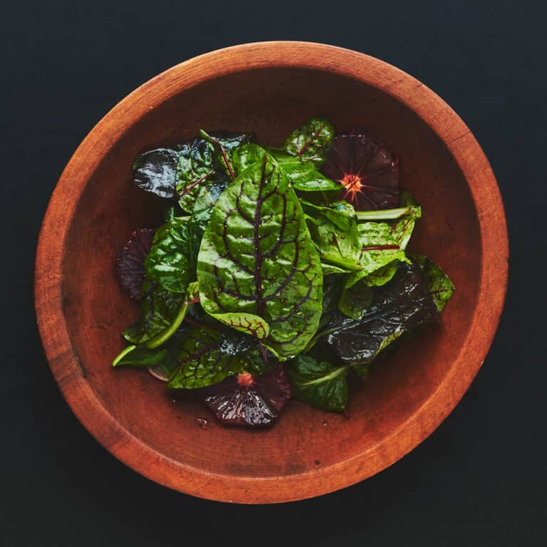 Easy Birch Syrup Recipes and Uses Forager Chef