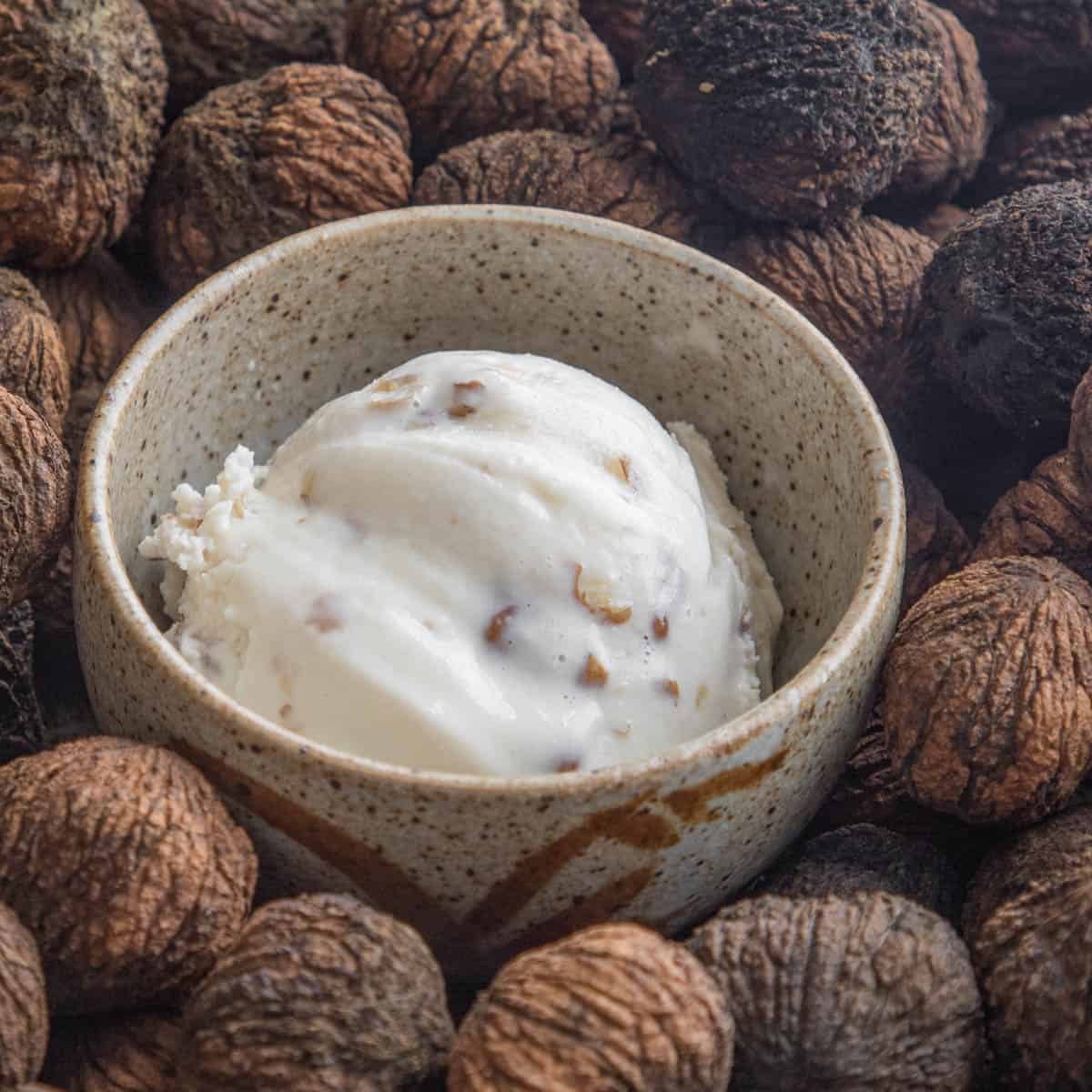 a bowl of black walnut ice cream surrounded by black walnuts.