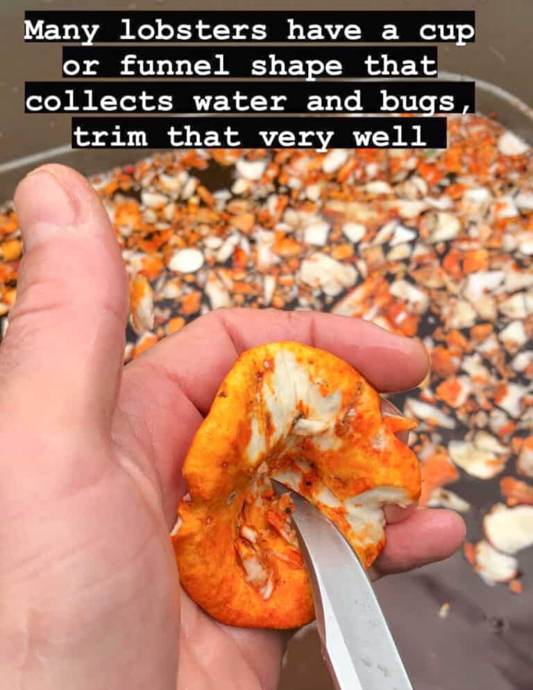 Lobster Mushrooms Harvesting, Cooking and Recipes