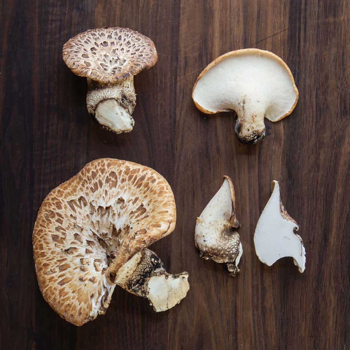 Old and young mushrooms on a cutting board.
