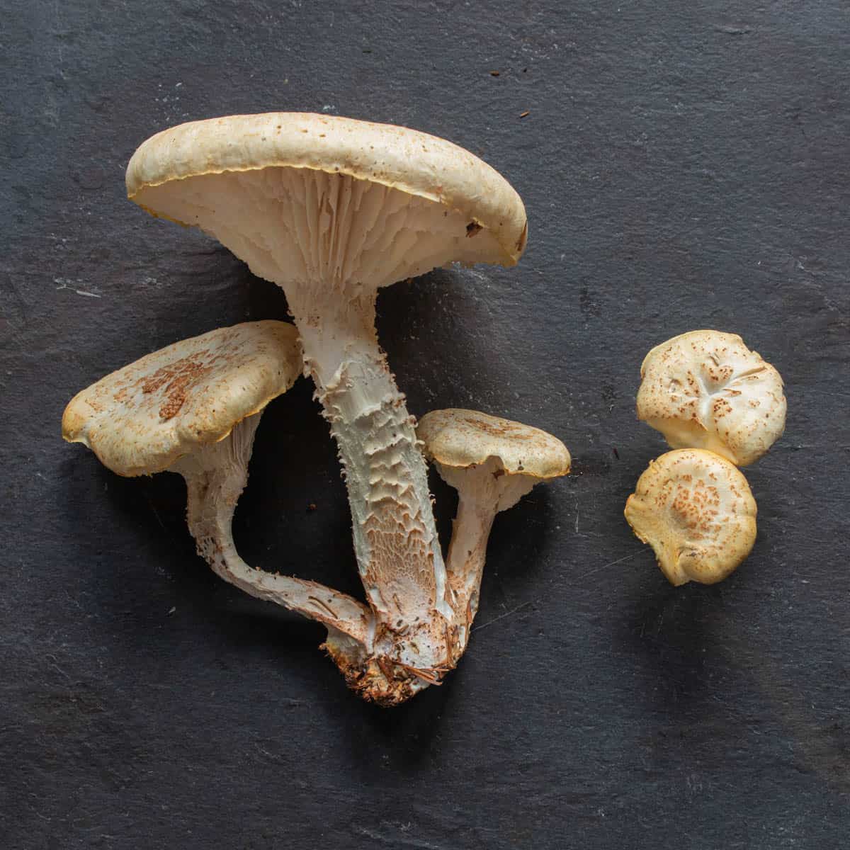 a cluster of three mushrooms on a cutting board.