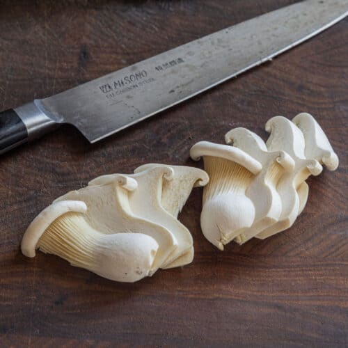 Abalone Mushrooms Forager Chef