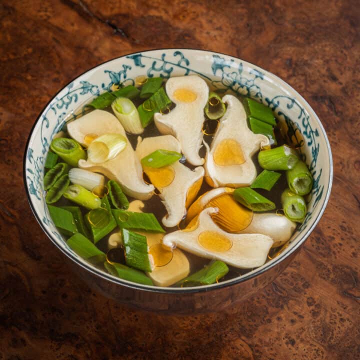 Abalone Mushrooms Forager Chef