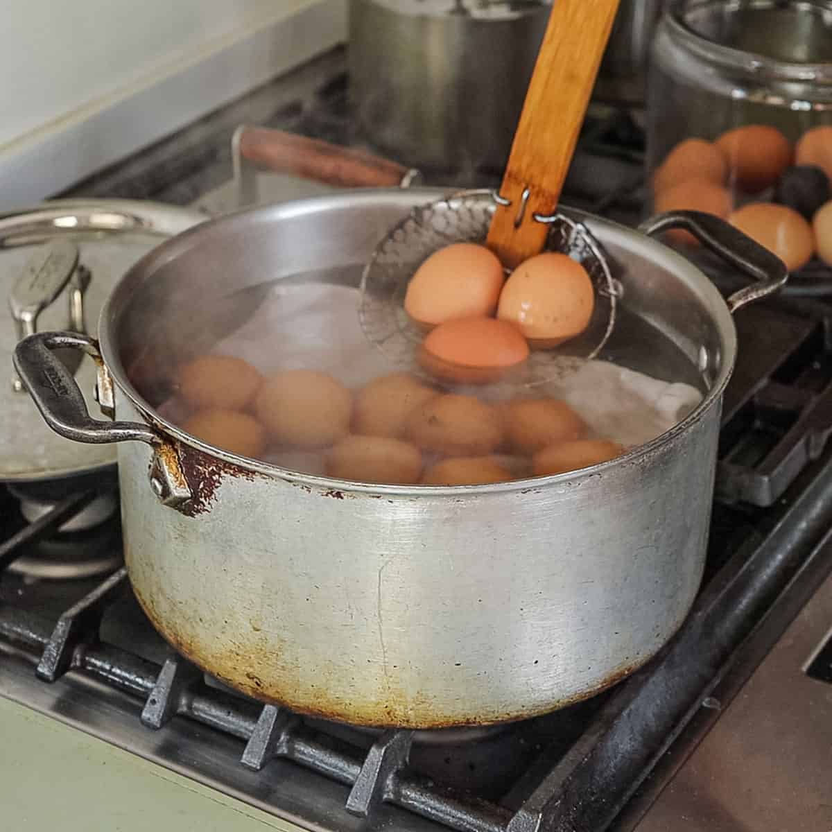 Ultimate Black Truffle Deviled Eggs Forager Chef