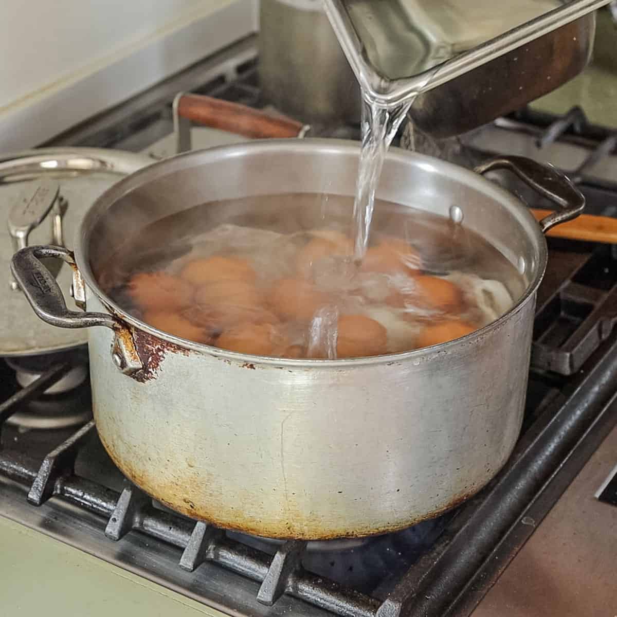 Ultimate Black Truffle Deviled Eggs Forager Chef