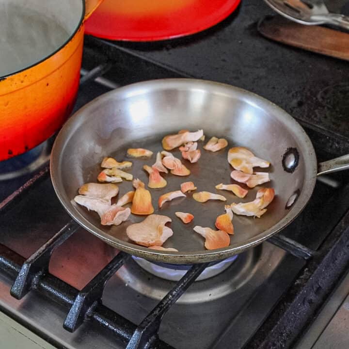 Creamy Black Truffle Gnocchi with Mushrooms Forager Chef