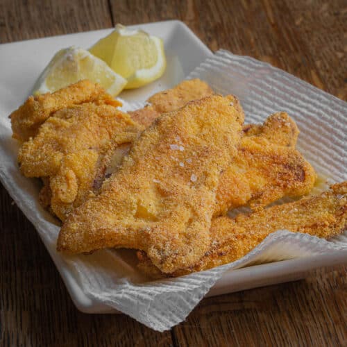 Abalone Mushrooms Forager Chef