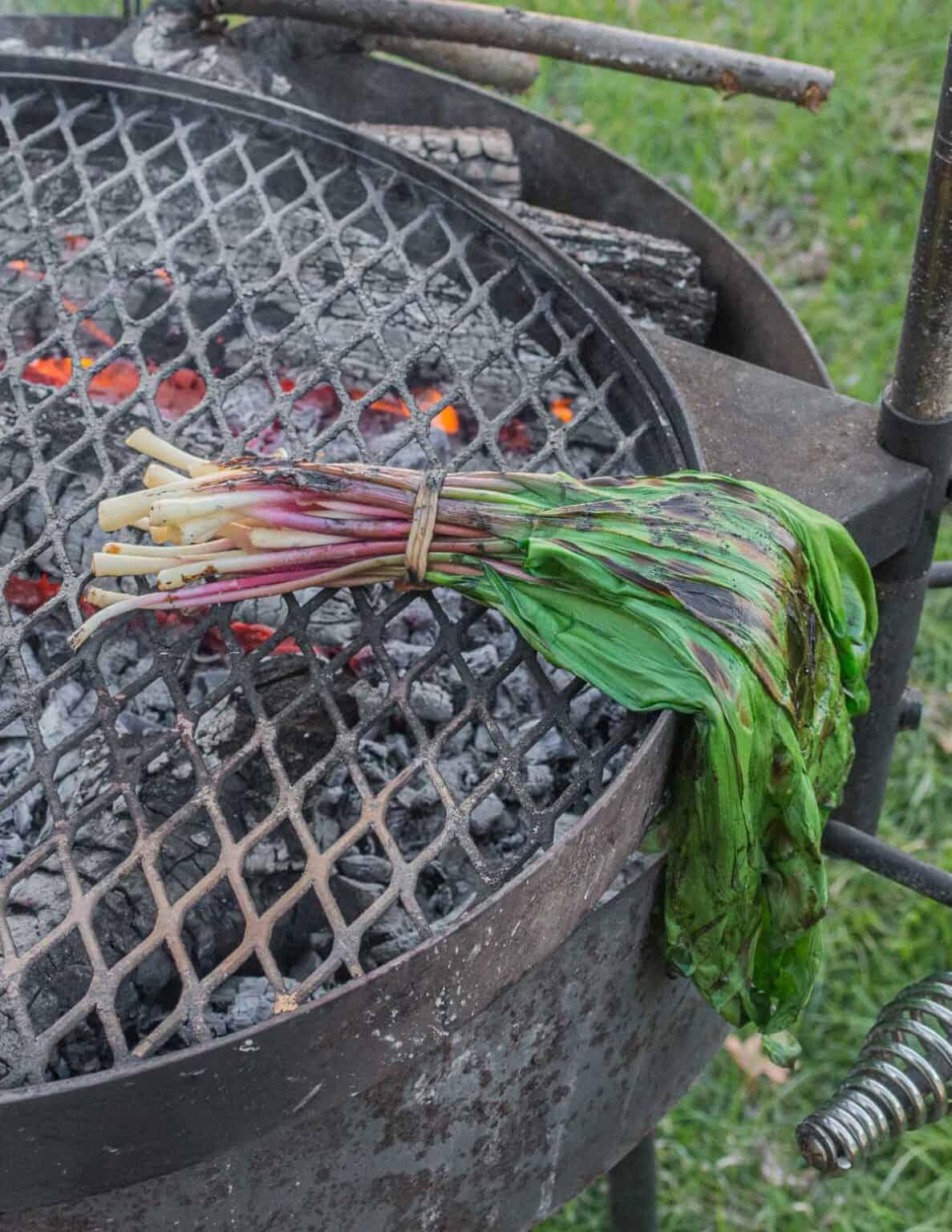 Grilled Ramps Forager Chef