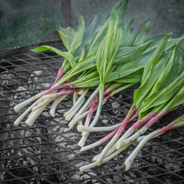 Wild leeks or ramps being cooked over a wood fire grill.