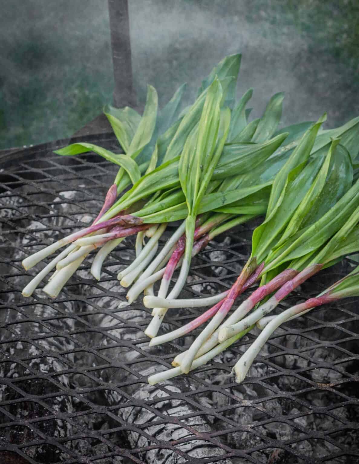 Grilled Ramps Forager Chef