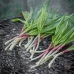 Ramps or wild leeks on a wood fire grill.