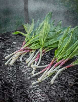 Grilled Ramps - Forager | Chef