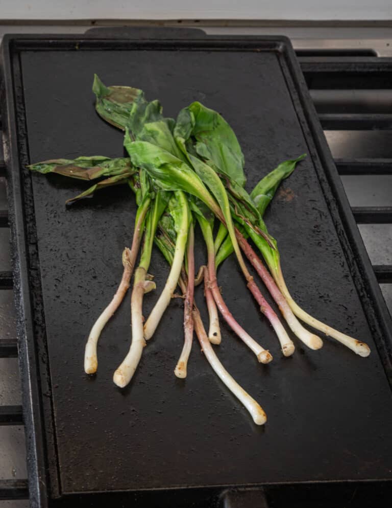 Grilled Ramps Forager Chef