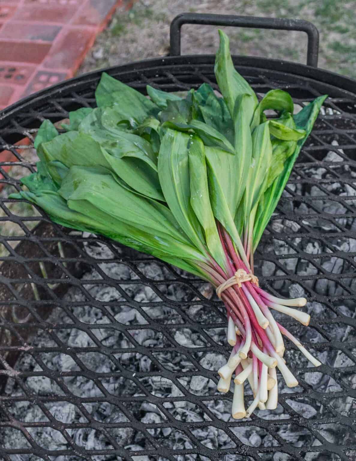 Grilled Ramps Forager Chef