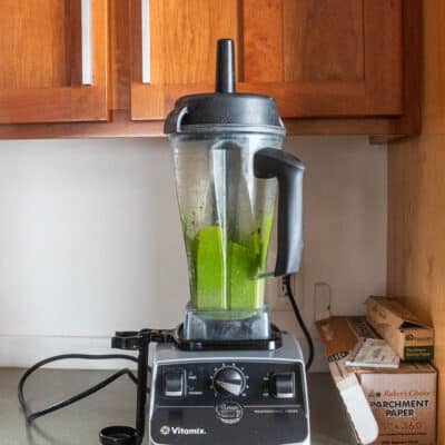 a vitamix highspeed blender with green pureed ramp leaves and egg yolks in it. 
