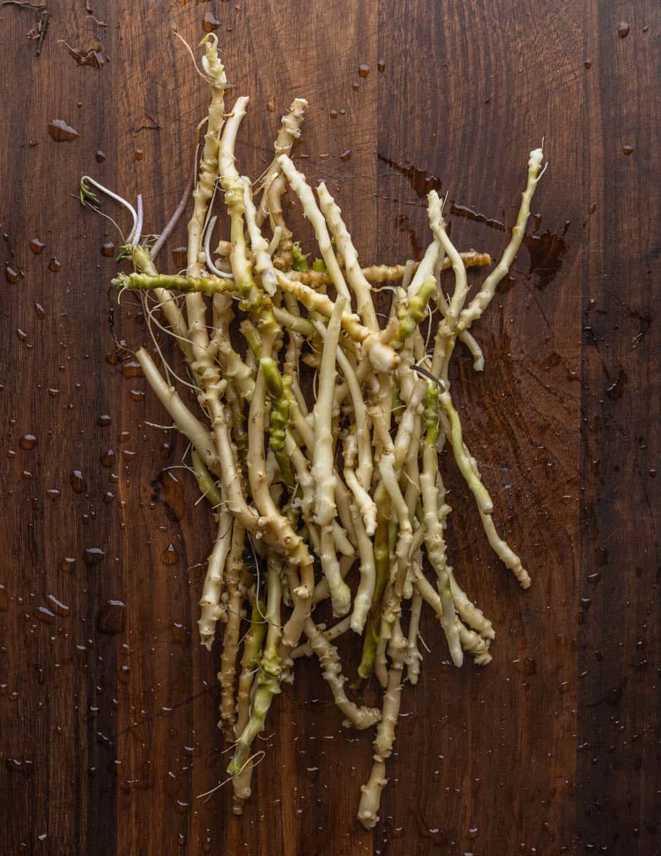 Cleaned broadleaf toothwort (Cardamine diphylla) rhizomes on a cutting board. 