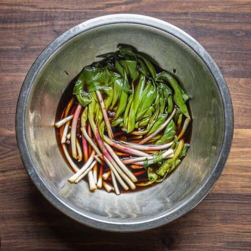 The Best Pickled Ramps Recipe Forager Chef