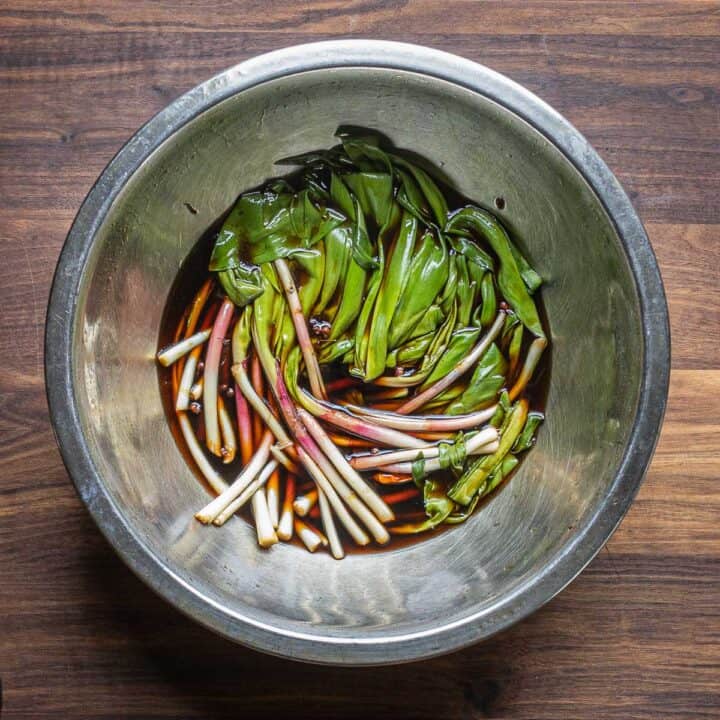 The Best Pickled Ramps Recipe Forager Chef