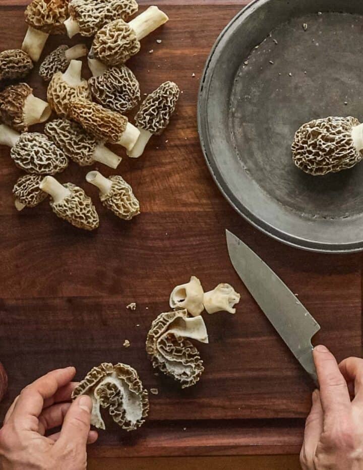 Mushroom Matar (Morel Curry with Peas) Forager Chef