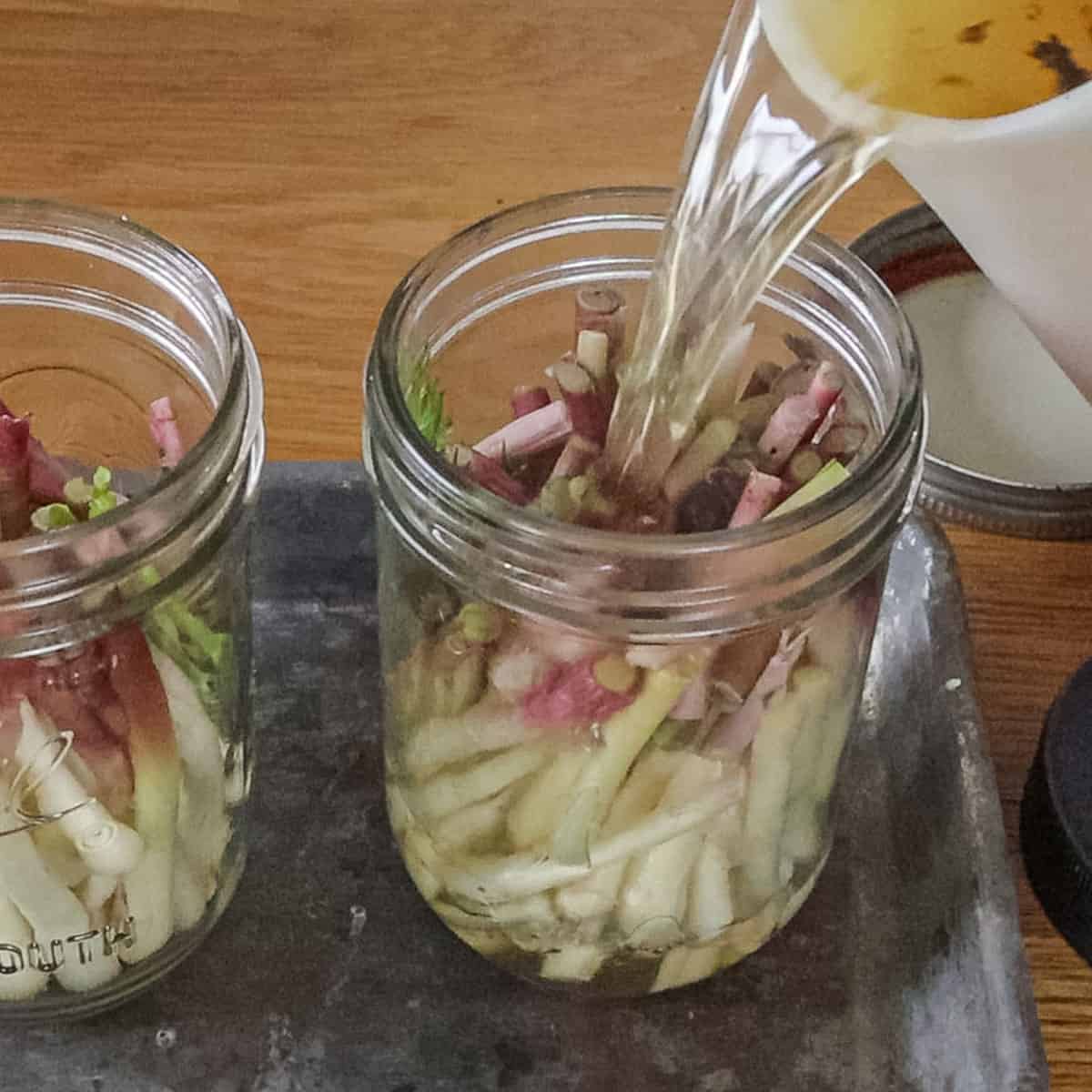 The Best Pickled Ramps Recipe Forager Chef