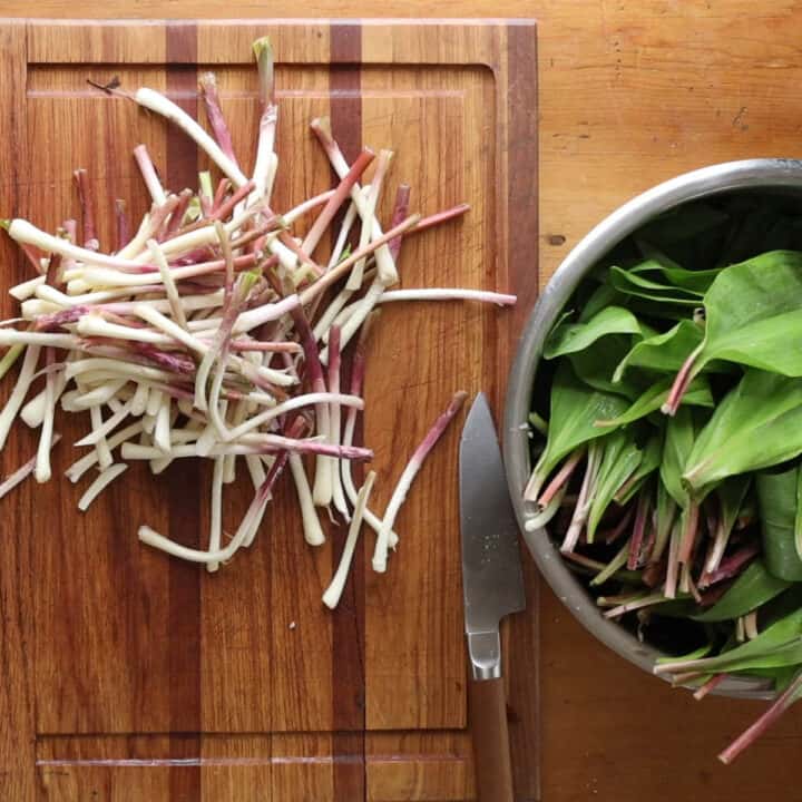 The Best Pickled Ramps Recipe Forager Chef