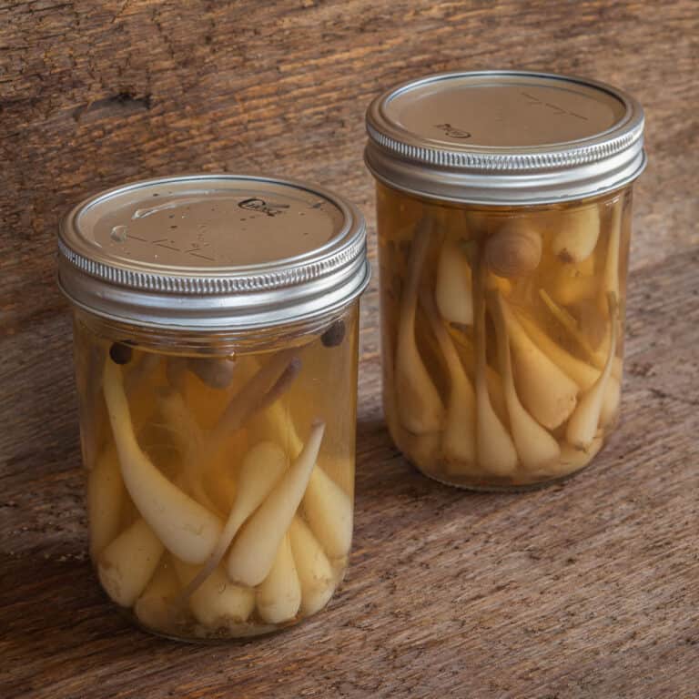 The Best Pickled Ramps Recipe Forager Chef