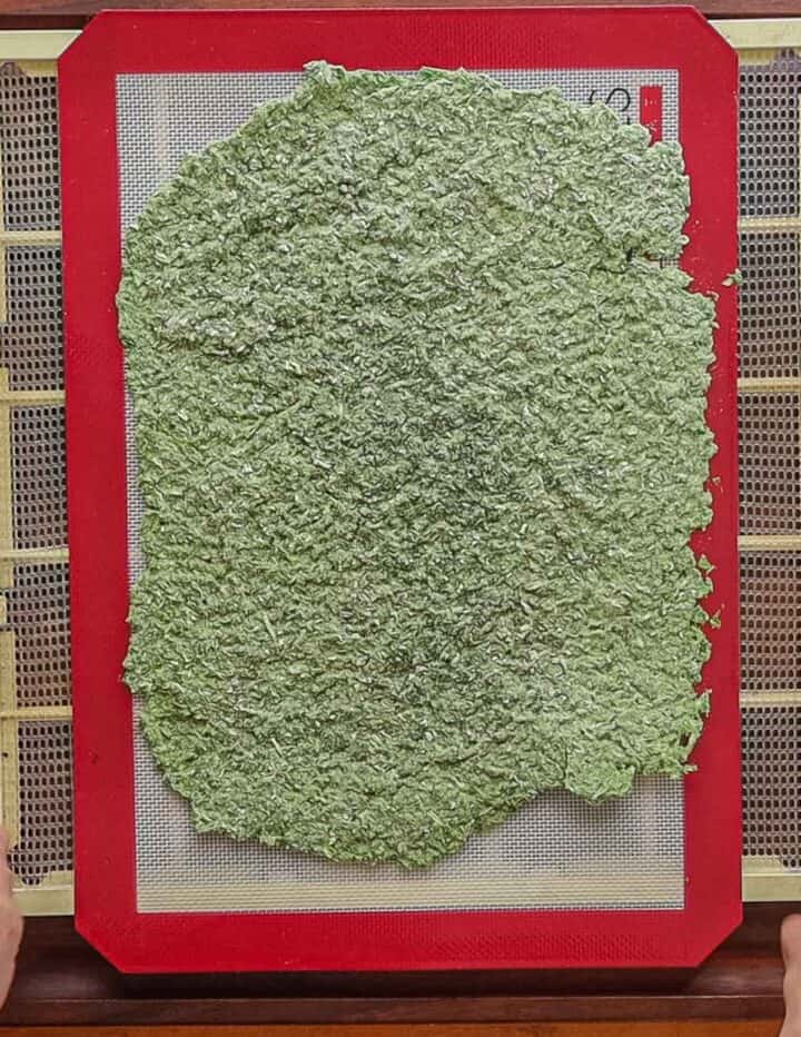 Wild Ramp Salt (Recipe) Forager Chef