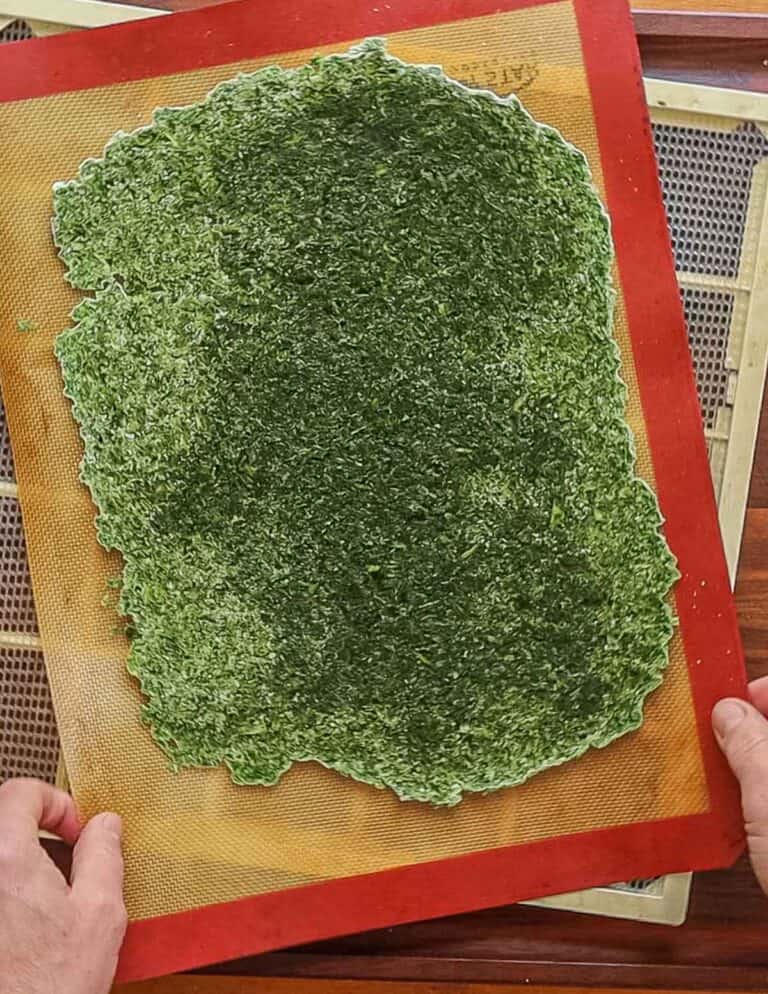 Wild Ramp Salt (Recipe) Forager Chef