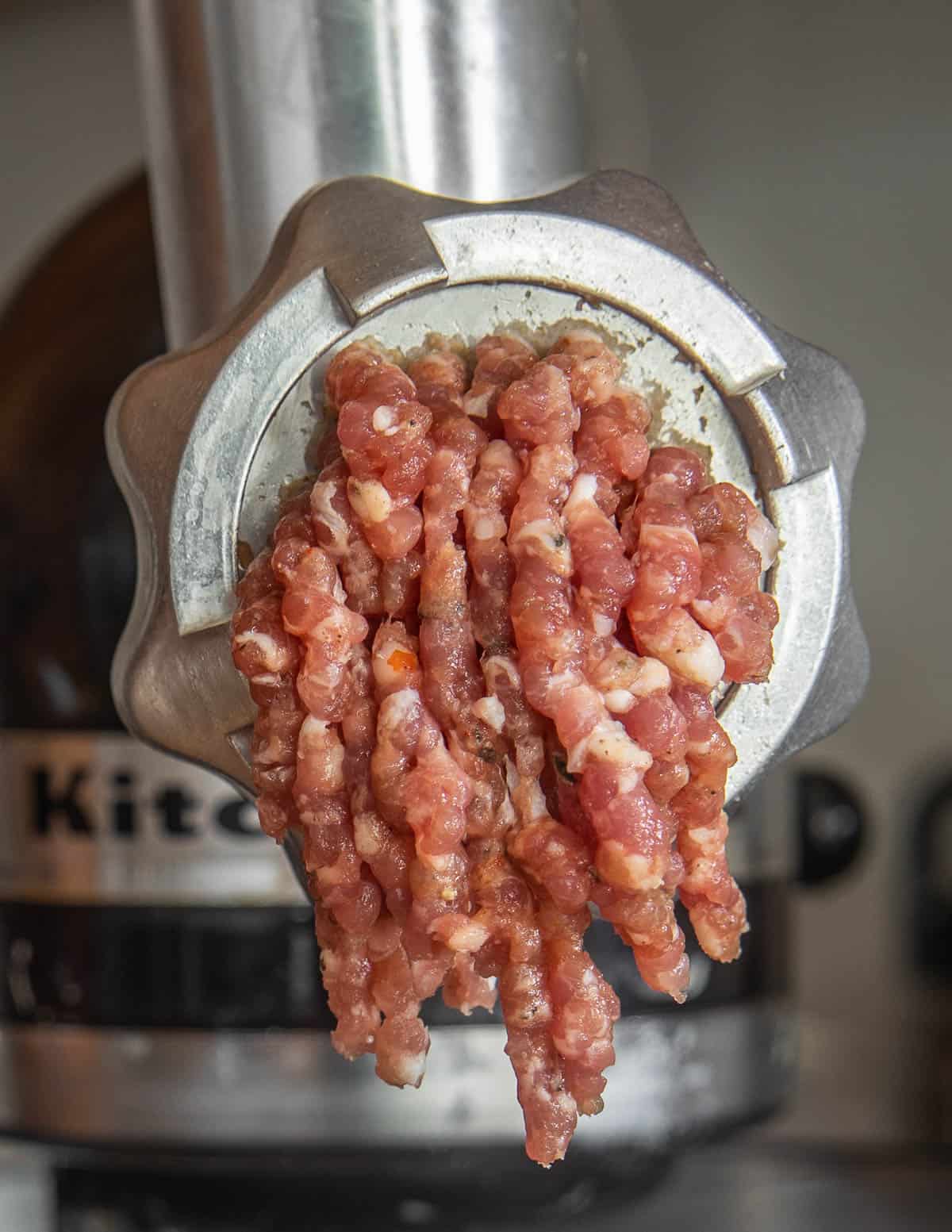 Grinding wild boar meat through a meat grinder.