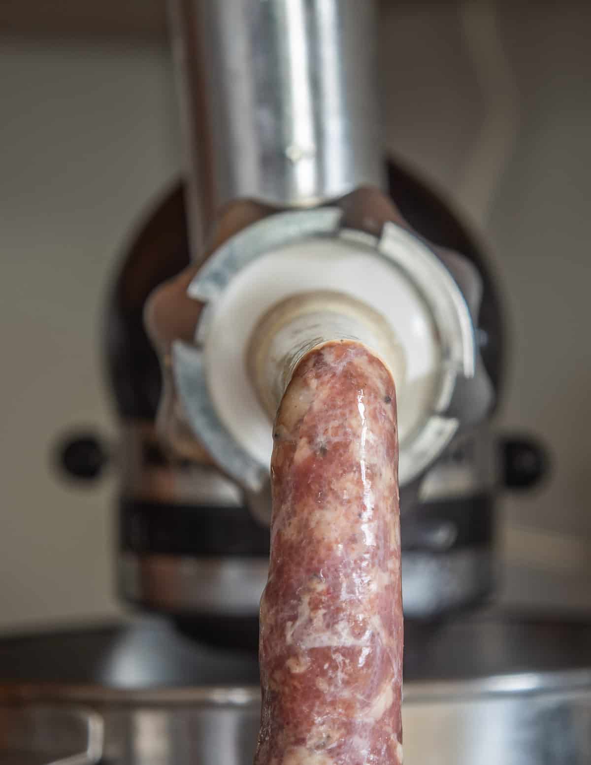 Packing wild boar sausage into casings using a sausage stuffer.