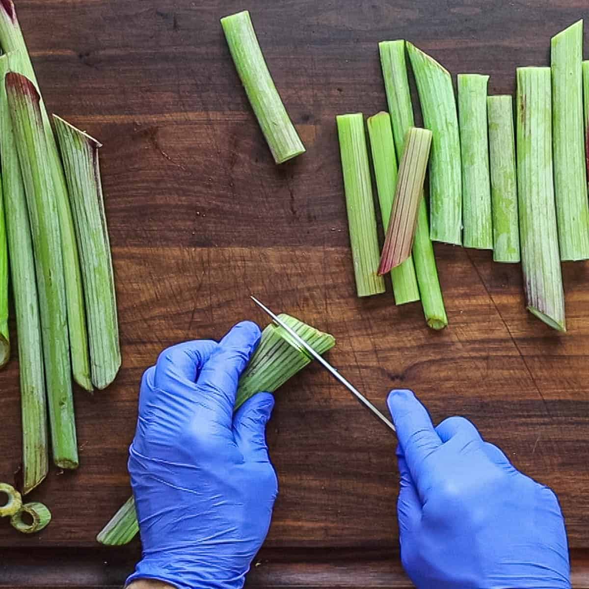 Cutting angelica stems into pieces. 