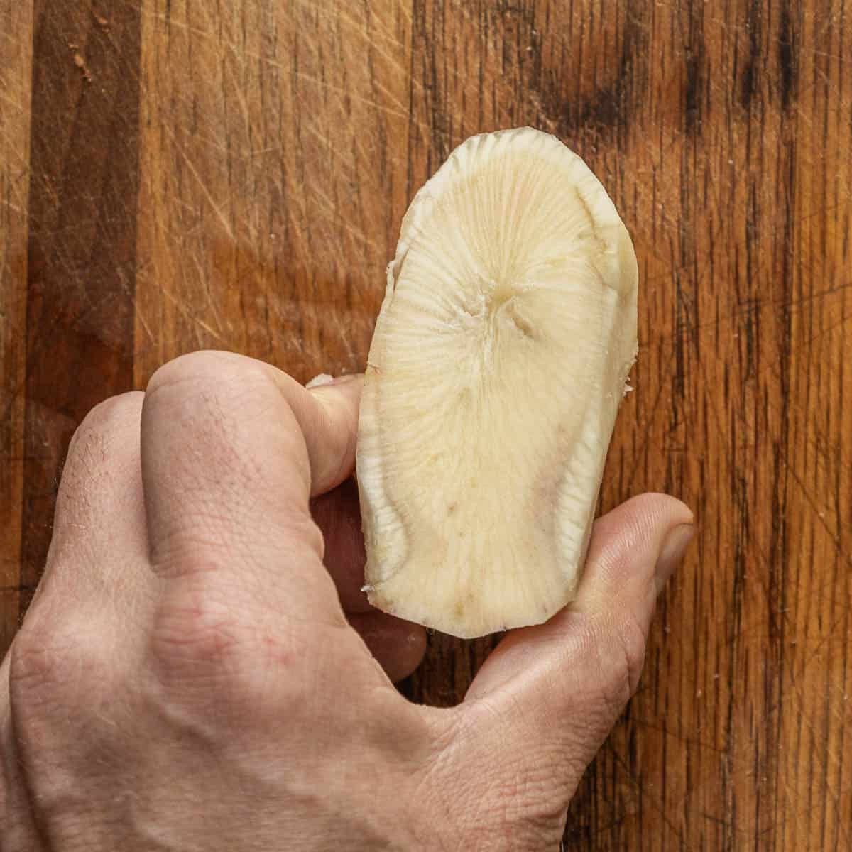 A top down image of a thistle root showing the core and fibrous outer layer. 