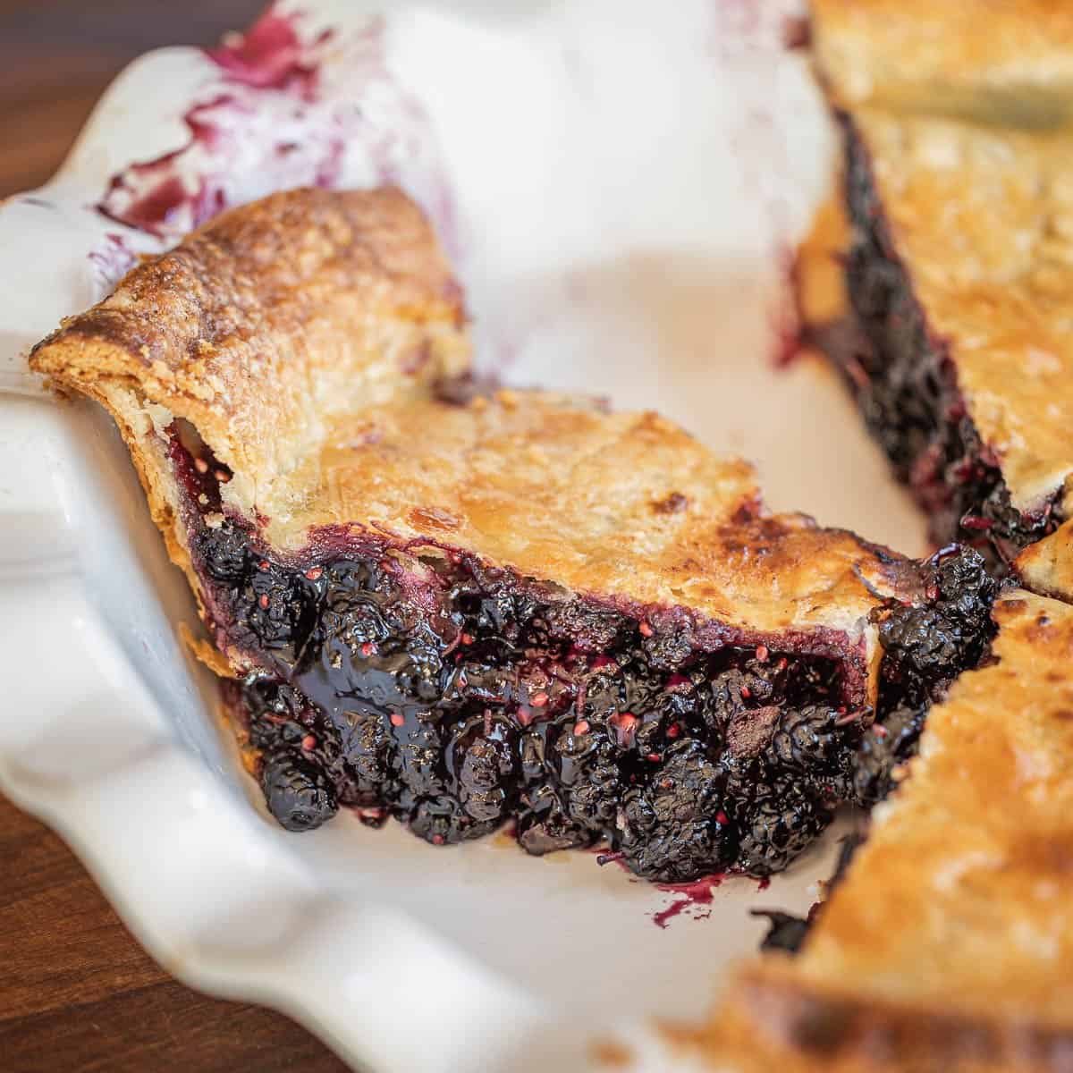 A Classic Mulberry Pie (Recipe) - Forager