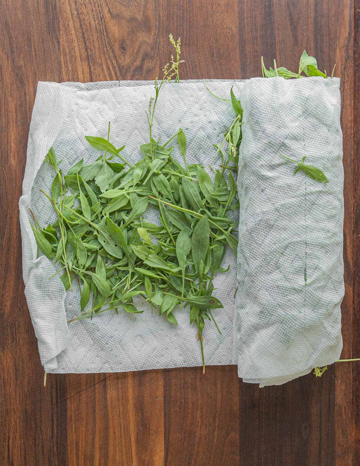 Rolling up cleaned sheep sorrell leaves in a towel. 